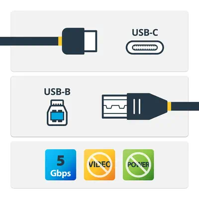 StarTech Cble USB-B vers USB-C de 2m, USB 5Gbps_4