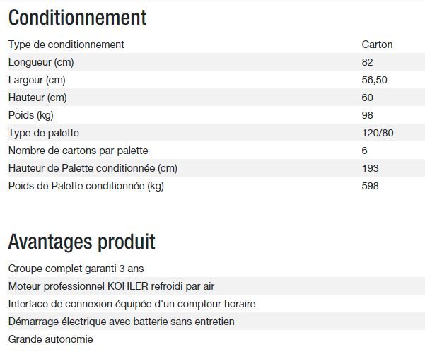 Groupe électrogène Technic 6500 E - Kohler - Puissance max 6,30 kW - 50 Hz - 230 V_4