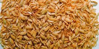 Presse à balles horizontale - briquetage pour sciure, paille et matériaux en vrac_4