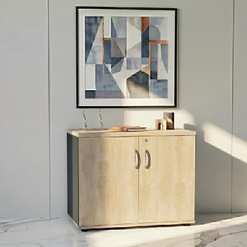Armoire de bureau avec portes décor bois - MDD - Gris anthracite, Chêne naturel_4
