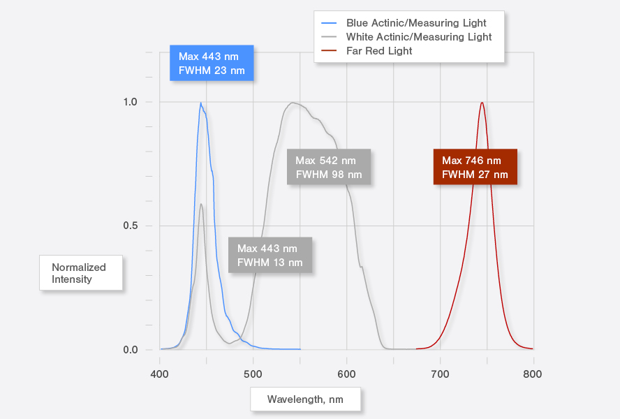 Junior PAM - Fluorimètre économique pour l'enseignement des mesures de fluorescence de la chlorophylle avec technique modulée_4