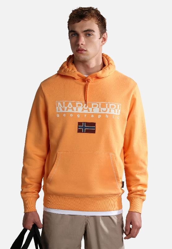 Sweat à capuche B-Ayas - Napapijri Geographic - 100% coton - Réf: NP0A4HLT_4