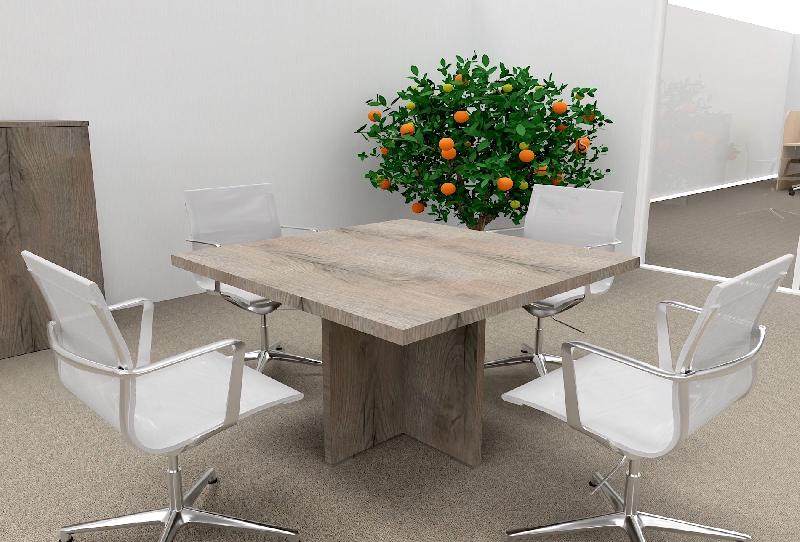 Table de réunion carrée TAK- Mobel Linea - Chêne grisé_4