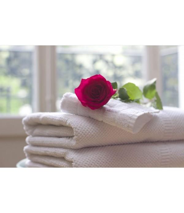 Sèche-linge professionnel 18 kW - 14 kg - 30 programmes - Écran tactile - Acier inoxydable_4