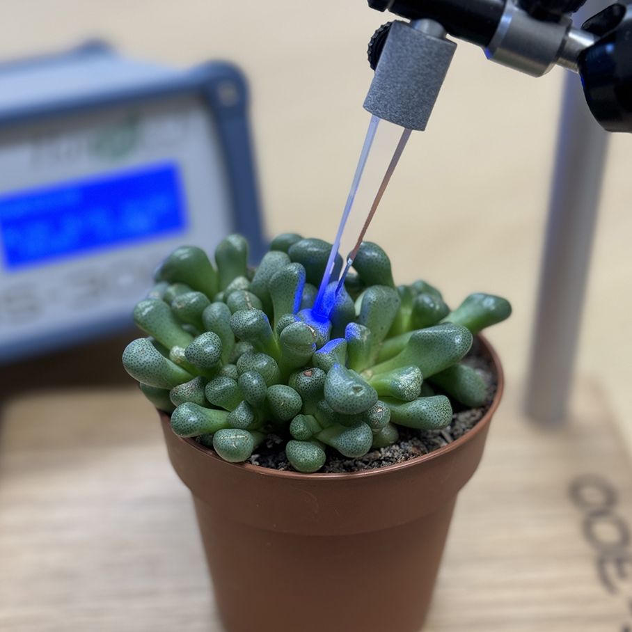 Hansatech FMS 300 - Fluorimètre de chlorophylle pour recherche et développement - Cinétiques rapides et lentes_4