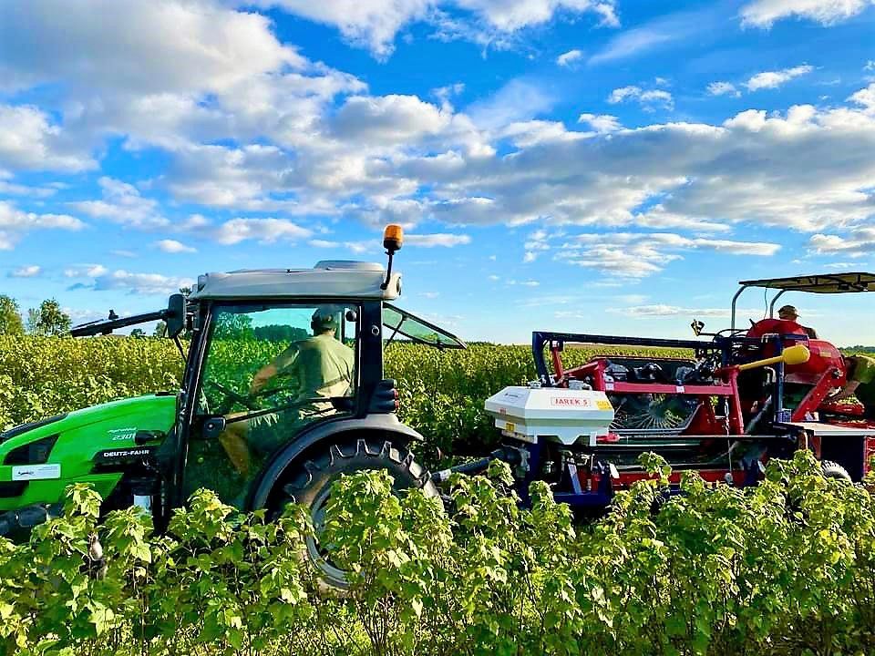 Récolteuse de baies avec finition de haute qualité