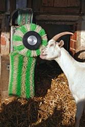 Brosse automatique électrique pour chèvres - Idéale pour un troupeau jusqu'à 120 chèvres - AGRIEST ELEVAGE_4