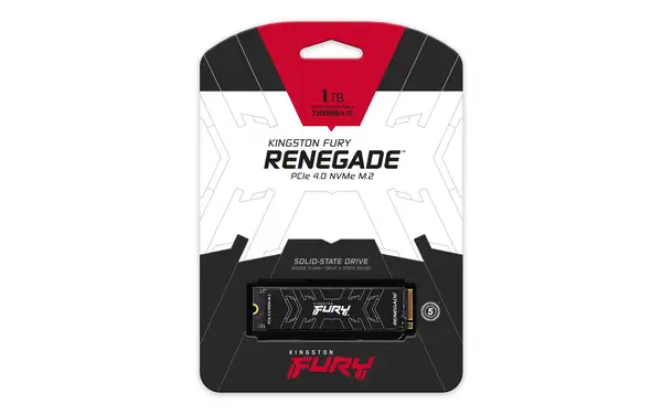 1000g fury renegade m.2 2280 nvme ssd_4