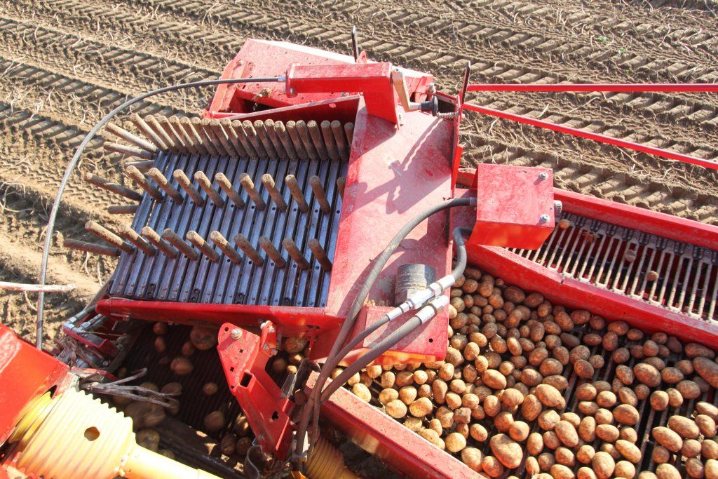 Arracheuse SE 140 - Grimme France - largeur 3000 mm - trémie 4000 kg - traitement doux et rendement élevé_4