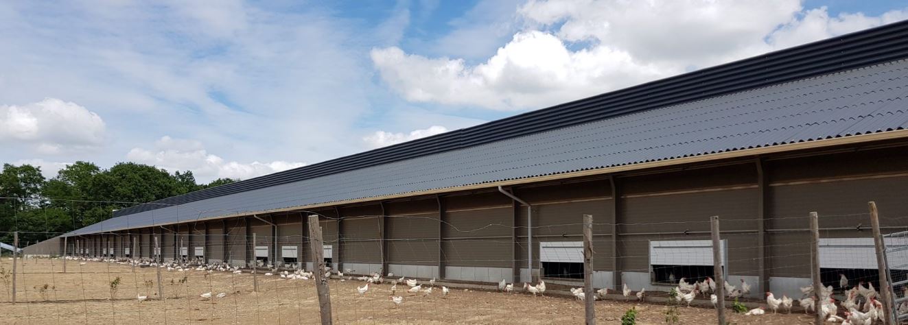 Bâtiment avicole tout confort pour une productivité optimale - COQUELIN BATIMENT_4