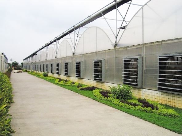 Serre chapelle Sunmax - portée 8 à 12 m - acier galvanisé et revêtement film PO ou PC_4