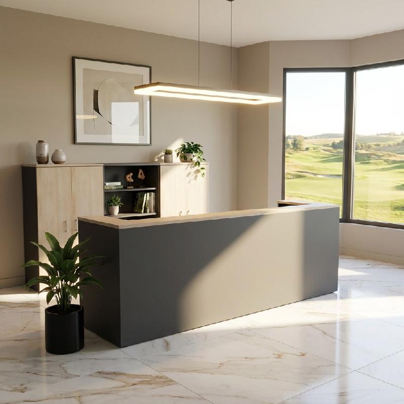Banque d'accueil Delta First bicolore 2 personnes - Mobel Linea - 324, Anthracite / acacia clair_0
