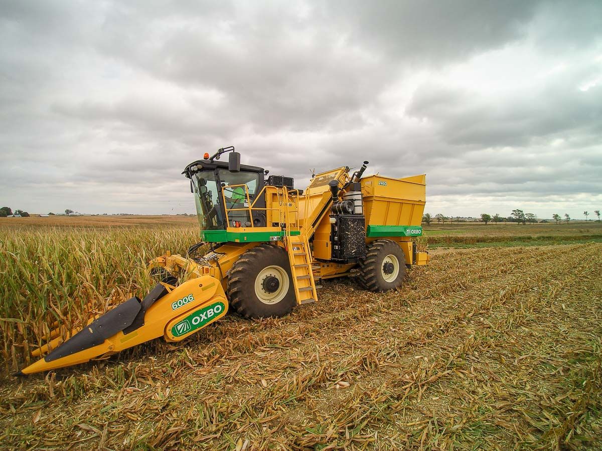 Arracheuse oxbo 2460 - oxbocorp - longueur sans tête 8.53 m - largeur 3.43 m_5