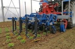 Machine de binage Remolite avec châssis rétractable ou fixe selon les dimensions