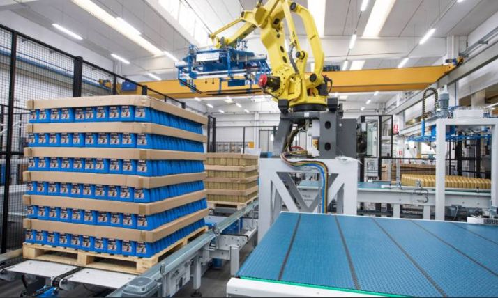 Rad EC/FC Sagittarius - Dépalettiseurs pour boîtes vides ou pleines - Clevertech France - système flexible avec tête magnétique ou à vide_4