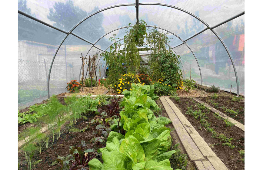 Serre pour légumes à deux portes pivotantes pour une aération naturelle et une accessibilité optimale - Largeur 6m - ABRI LEGUMES_4
