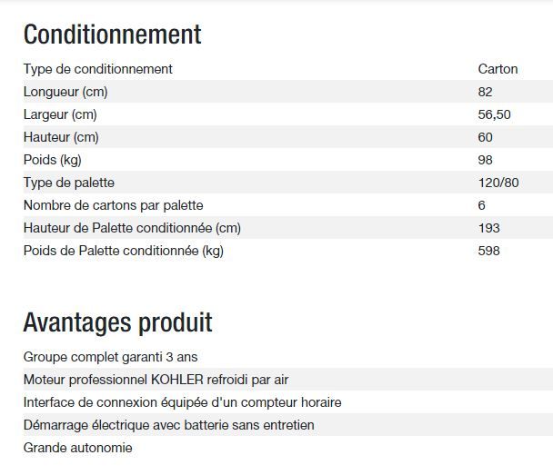 Technic 6500 E C5 Groupe électrogène - Kohler - 6,30 kW - 50 Hz - 230V_4