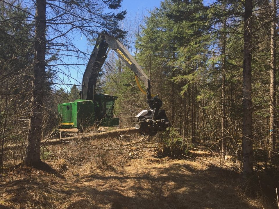 Afm 75 - tête d'abattage - afm forest - largeur, max.1650 mm_4
