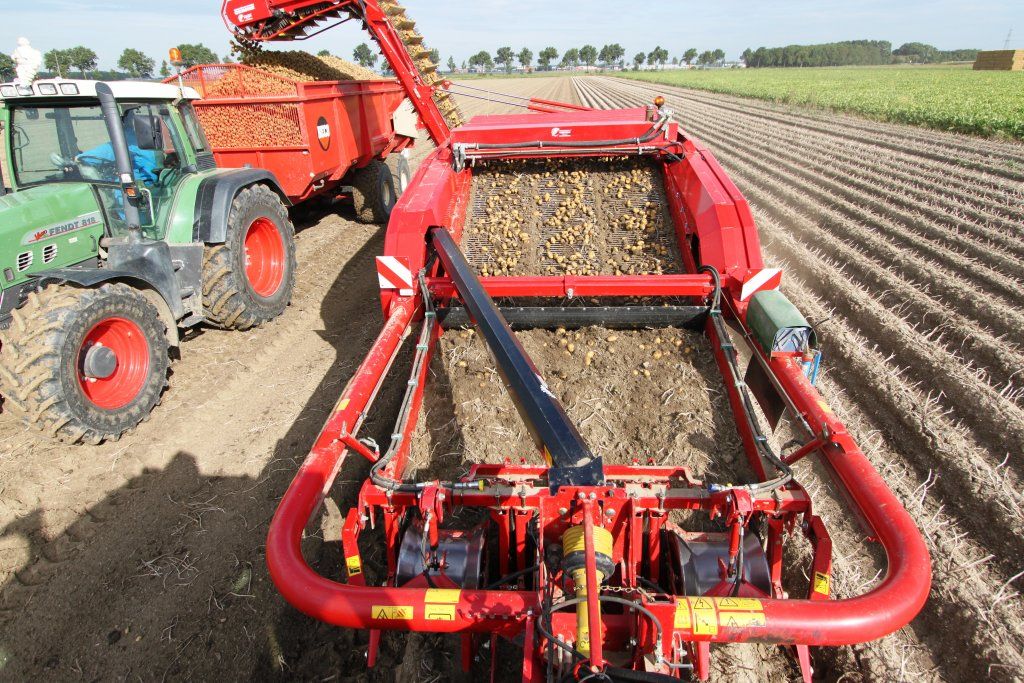 Arracheuse-chargeuse gt 300 3 rangs - grimme france - puissance du moteur 115 kw - vitesse 25 km/h_4