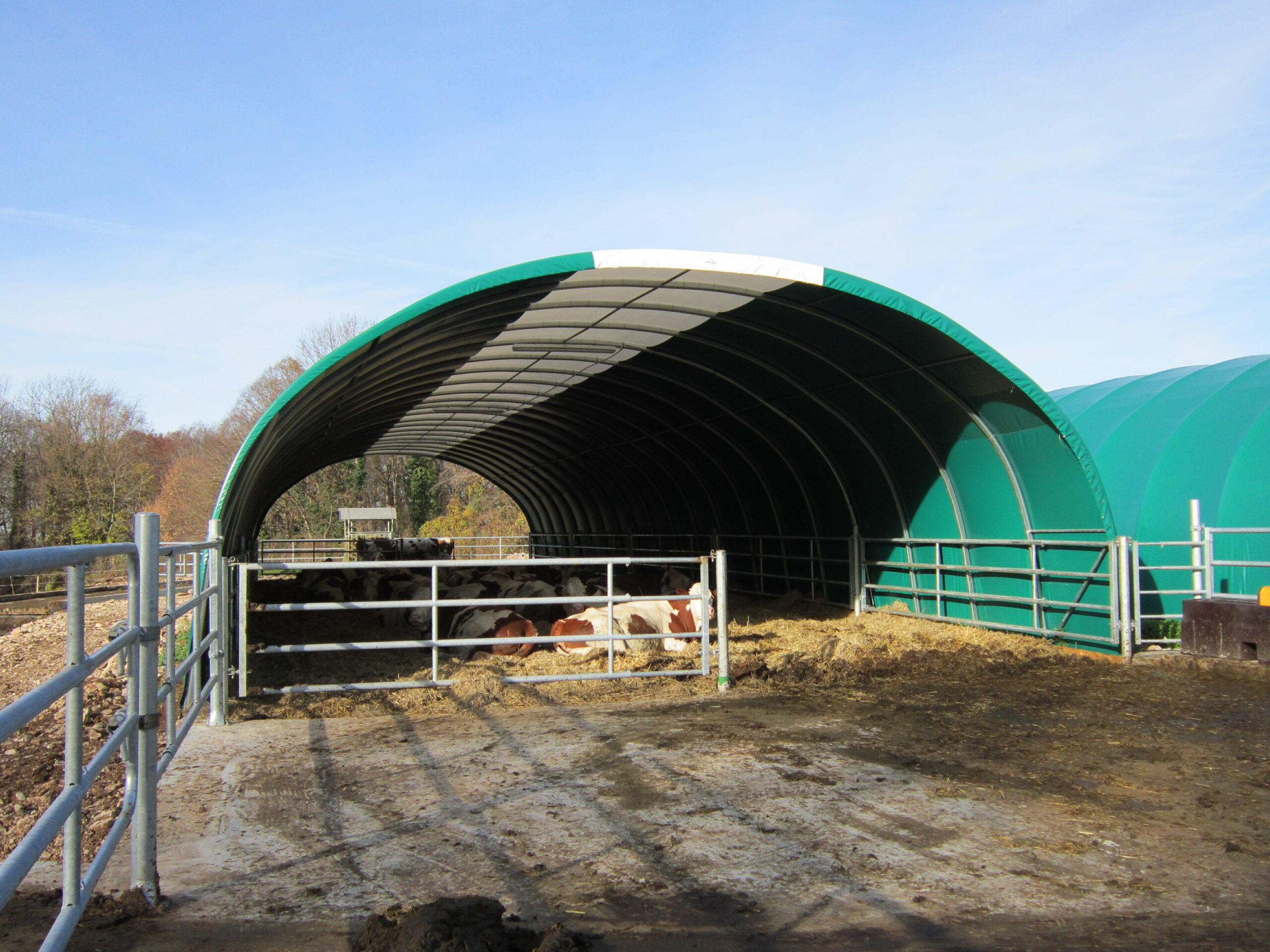 Bâtiment d'élevage pour bovin à lait - Ventilation naturelle optimale, isolation et confort acoustique - Tunnel TOUTABRI_4