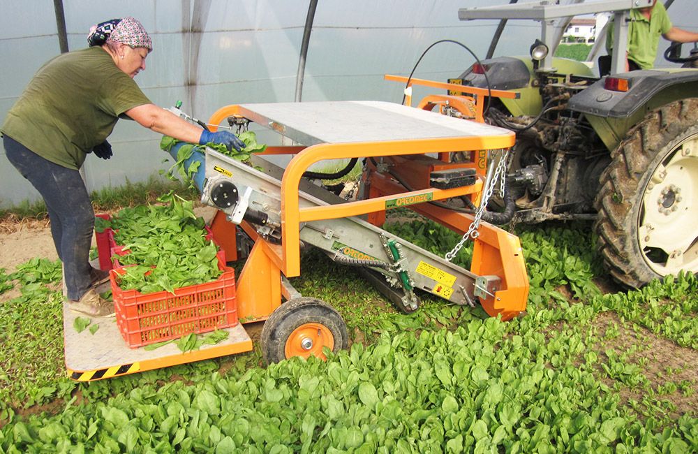 Récolteuse fixée sur trois points pour tracteurs compacts