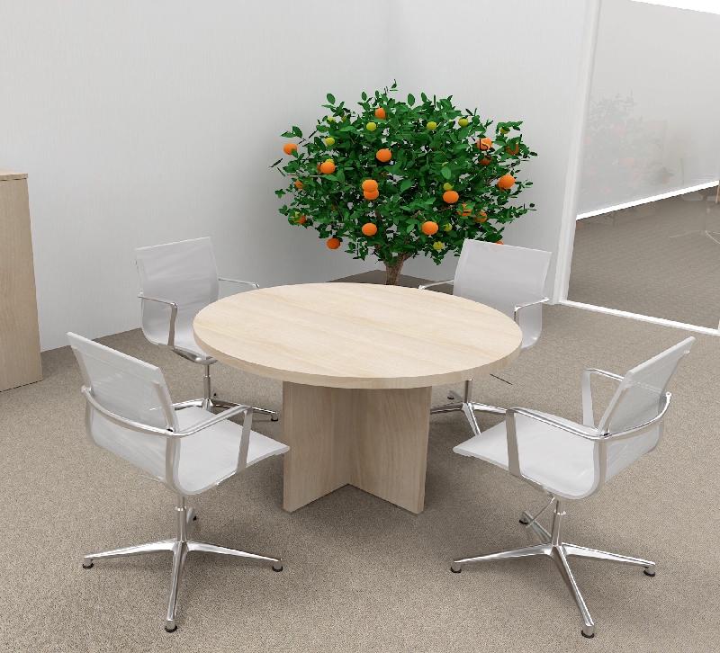 Table de réunion ronde TAK- Mobel Linea - Acacia clair_4
