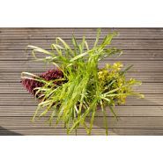 710 - Jardinières en aluminium ABES - Longueur : 1200 mm - Parois arquées et pointe sur deux côtés_4