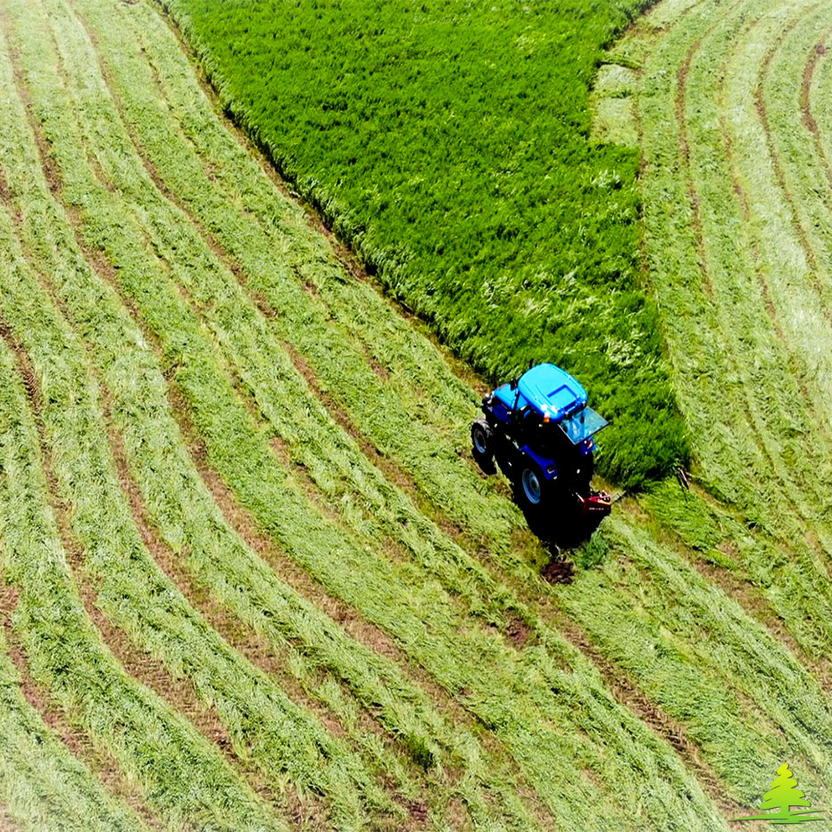 Faucheuse performante avec vitesse de travail jusqu'à 12 km/h