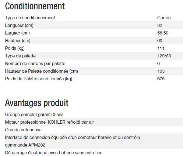 Diesel 6500 TA XL C5 Groupe électrogène - Kohler - Gamme Diesel - Puissance max 5,20 kW / 6,50 kVA - 50 Hz_4