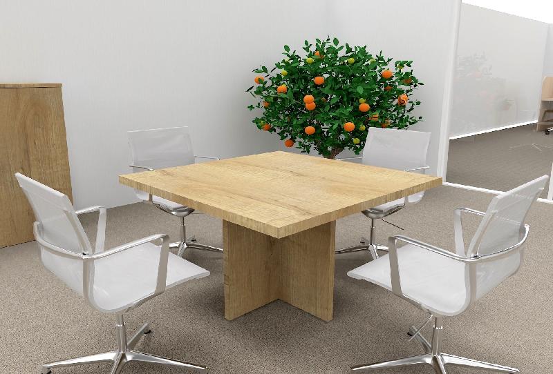 Table de réunion carrée TAK- Mobel Linea - Chêne veiné_4