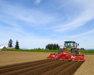 Gf600  - butteuse agricole - grimme france - fraise et butteuse 6 rangs_4