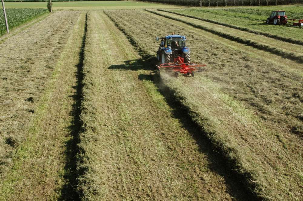 AG 460/12 - Andaineur circulaire double - Galfrè Domenico - 4,60 m - 12 bras par toupie_4