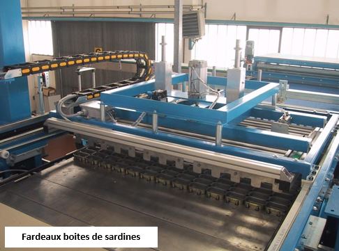 Palettisation de boites ou bocaux pleins ou vides - constructeur Mectra_4