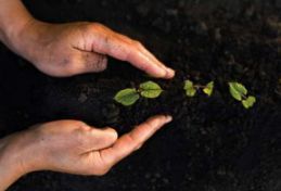 Purificateur d'eau professionnel écologique nouvelle génération UNI-K antibactérien élimine gaz toxiques métaux lourds fonctionne sans éléctricité_4