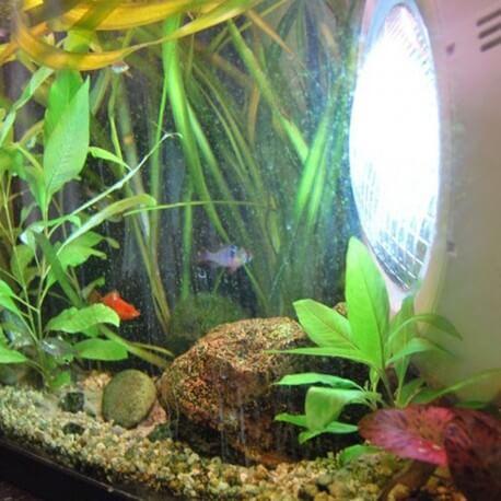 Projecteur LED blanc naturel 35W extra-plat pour piscine - étanche IP68 - 3000 lumens_4