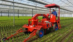 Scorpion - Bineuse automatique automotrice Ferrari - Planche unique ou multiple, avec technologies avancées_4