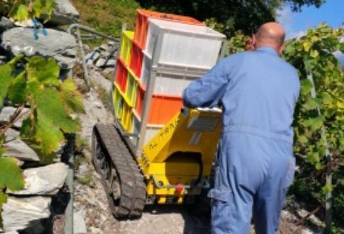DCT-300P mini-dumper - Alitrak - 600 kg - tout-terrain, compact et électrique_4