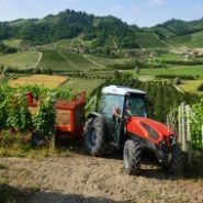 Frutteto 80 à 115 tracteur agricole - same - puissance max 80:1500 tr/min_4