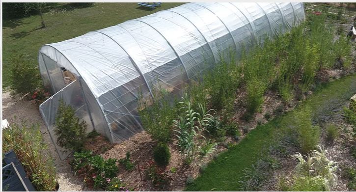 Serre tunnel maraîchère professionnelle à bâche enterrée - Longueur 6 m - TMC60010_4