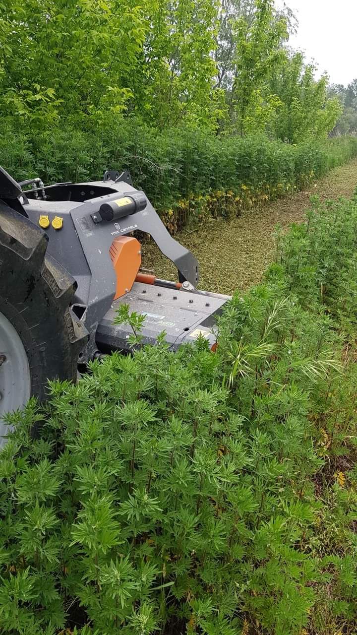 Tgb broyeur forestier - tmc cancela - largeur de travail (cm) 160-220_4