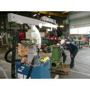 Mini-grue Mobilev Cranes pour levage rapide et précis