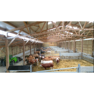 Bâtiment pour vaches allaitantes, sur mesure en bois - Stabulation libre, en aire paillée, en caillebotis, ou mixte_4