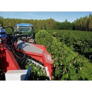 Récolteuse de framboises JAREK 5R - Jagoda JPS, avec système de nettoyage et tête spéciale_4