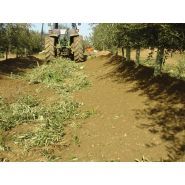 Andaineur BV15 Elite Oil - machine spéciale pour plantations d'olives super intensives - largeur de travail 4,46 m_4
