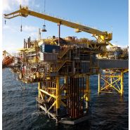 RL 2650 - Grue portuaire offshore Liebherr - Capacité de levage max 60t et portée max 54m_4