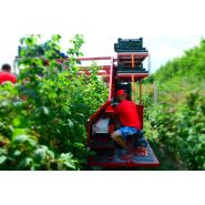 Récolteuse à framboises et myrtilles karen - weremczuk - puissance minimale requise 68 hp - capacité de charge 760 kg_4