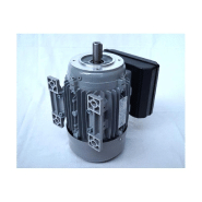 Moteur électrique monophasé 220V 1,1kW - 3000tr/min - Bride B34 - Trous taraudés à pattes - ALMO CML80B2B14_4