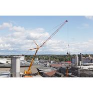 Grue automotrice Liebherr pour levages lourds et haute portée