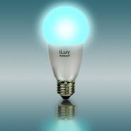 Amploule bluetooth rainbow 7_4