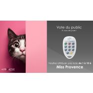 Location de boîtiers de vote interactifs pour événements - Simples d'utilisation et sans connexion Internet_4